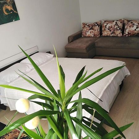 Ferienwohnung Garsoniera Rebecca Tîrgu Ocna Exterior foto