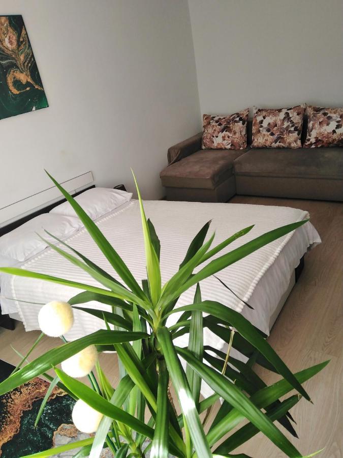 Ferienwohnung Garsoniera Rebecca Tîrgu Ocna Exterior foto