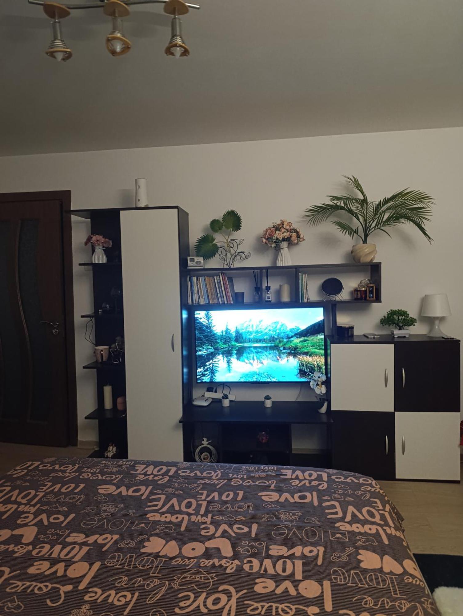 Ferienwohnung Garsoniera Rebecca Tîrgu Ocna Exterior foto
